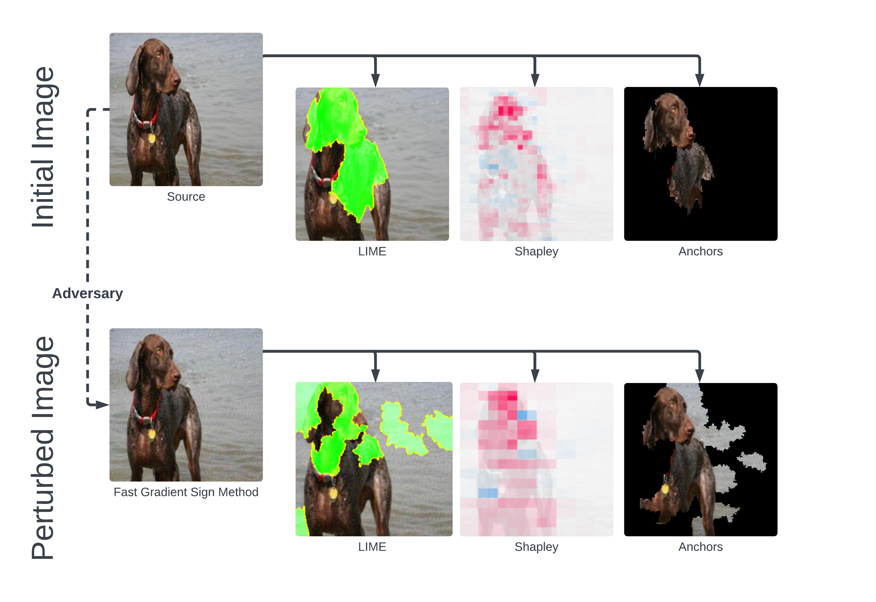Pre-perturbation and post-perturbation of an image of a German Shorthaired Pointer dog using the Fast Gradient Sign Method, each accompanied by three explanation techniques. Figure 2