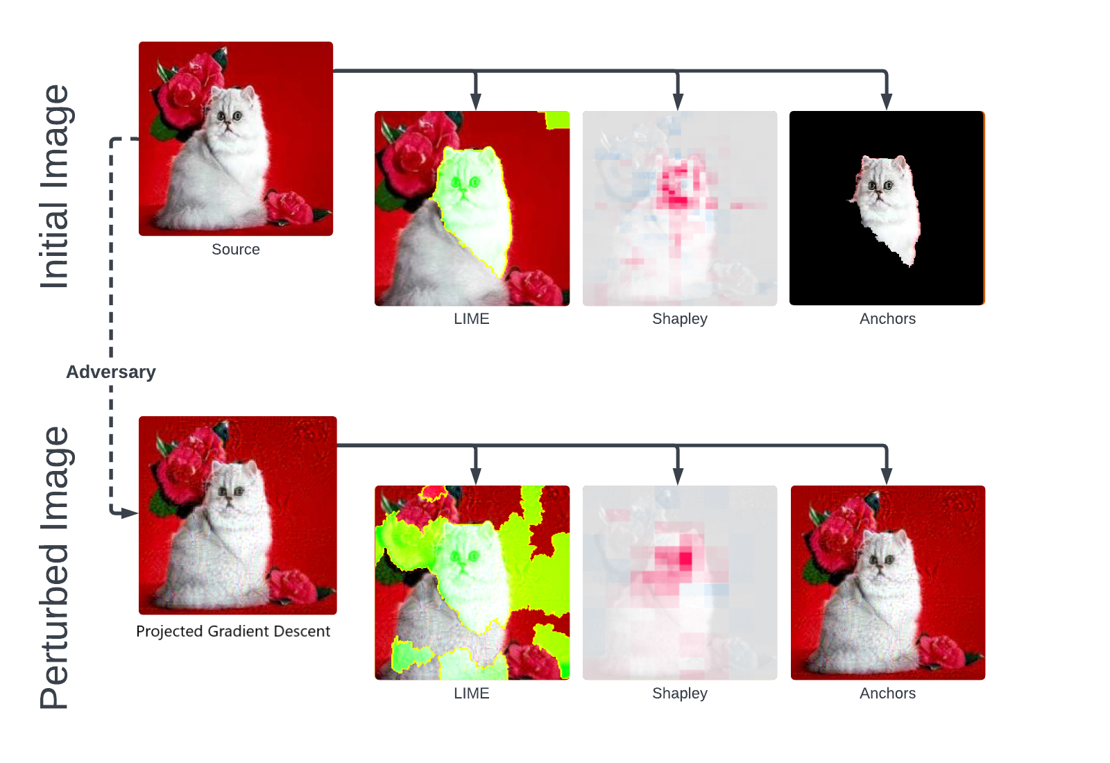 Pre-perturbation and post-perturbation of an image of a Persian cat using Projected Gradient Descent, each accompanied by three explanation techniques. Figure 3