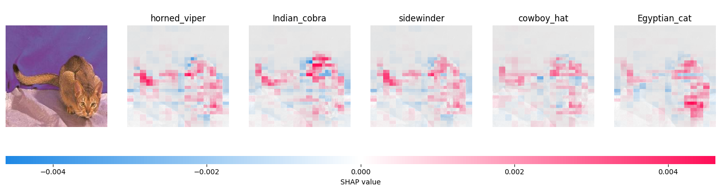 Top guesses of the model and what pixels made it choose those classes Cat