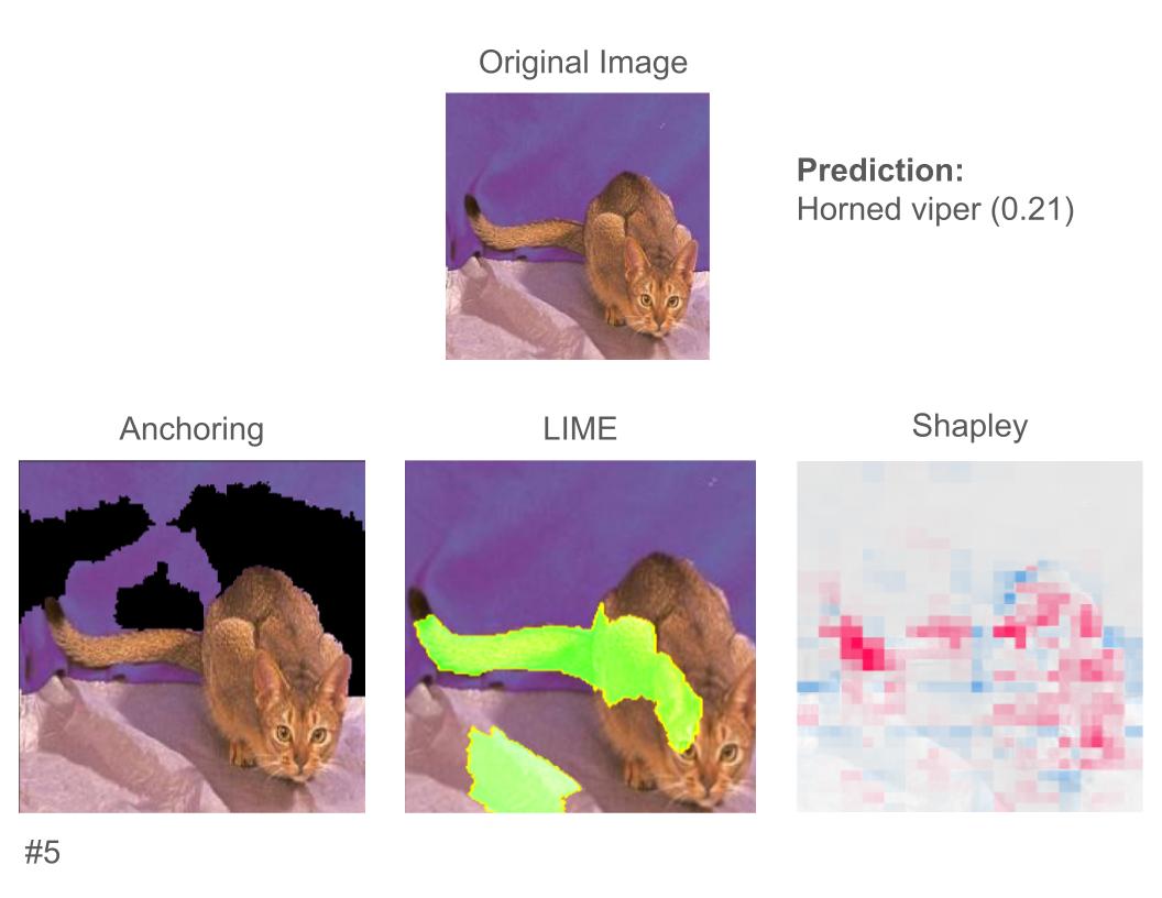 An image of a cat, with explanations for why it was predicted as a horned viper Figure 1