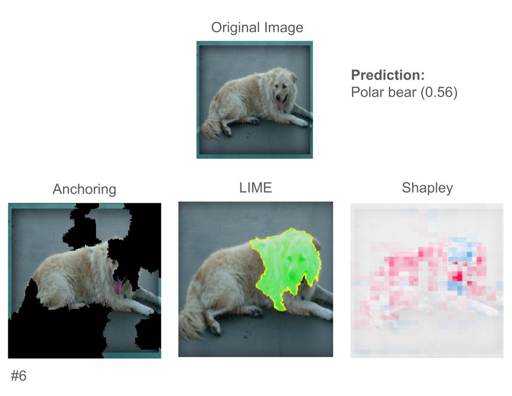 An image of a dog, with explanations for why it was predicted as a polar bear. Figure J