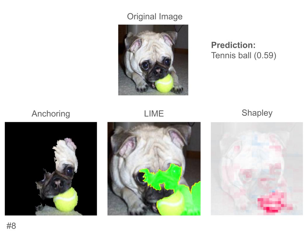 An image of a pug with a tennis ball, with explanations for why it was predicted as a tennis ball. Figure C