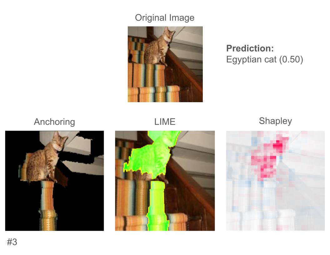 An image of a cat on stairs, with explanations for why it was predicted as a cat. Figure 4