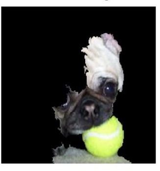 The anchor for the tennis ball prediction Figure 4