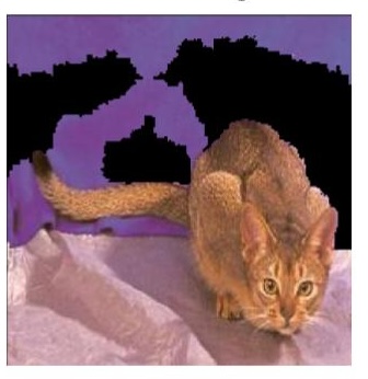 The anchor for the snake prediction Figure 3