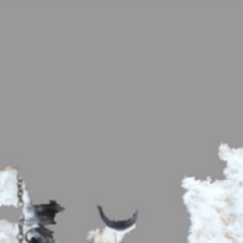 The image put through LIME. Figure 1